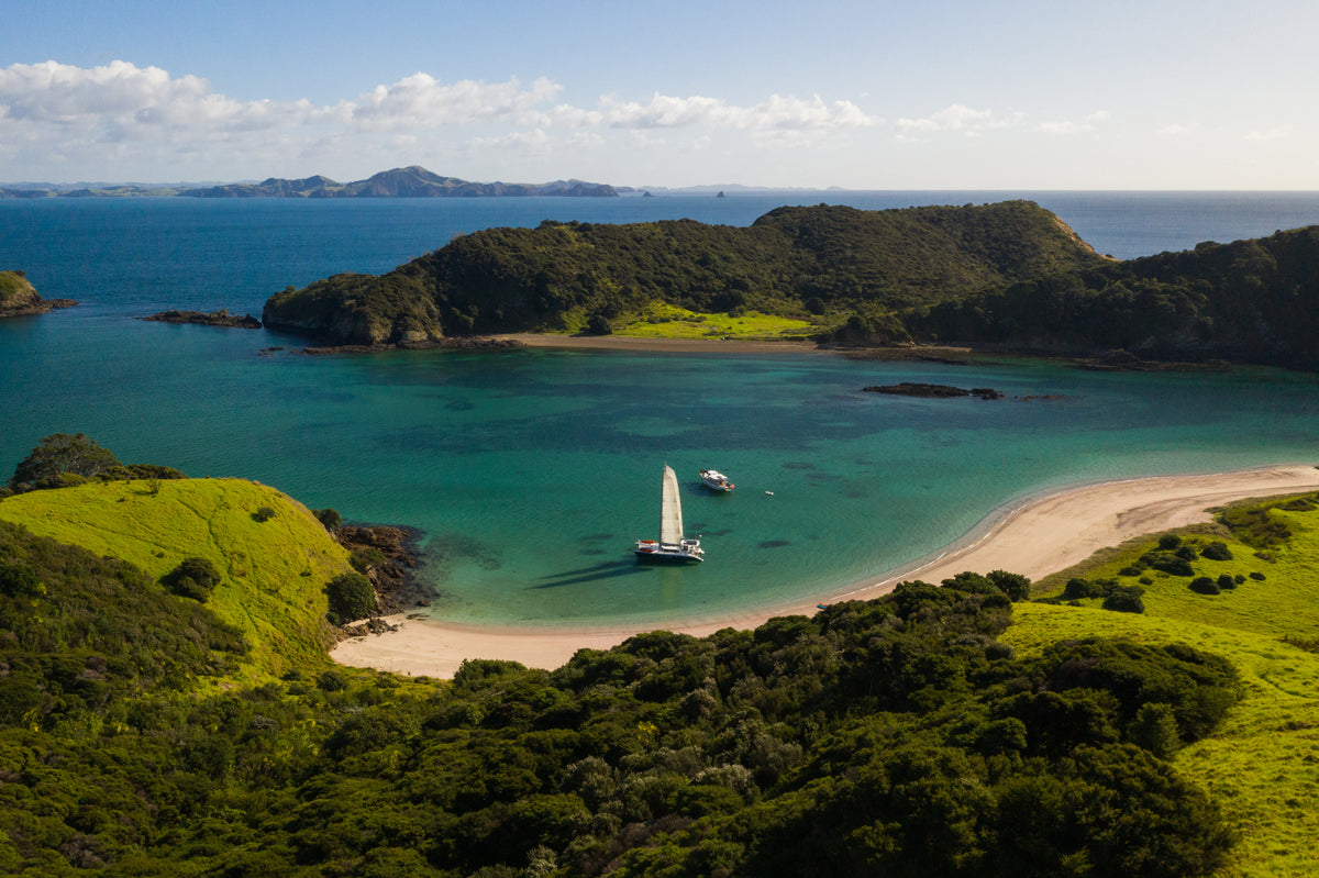 Experience New Zealand