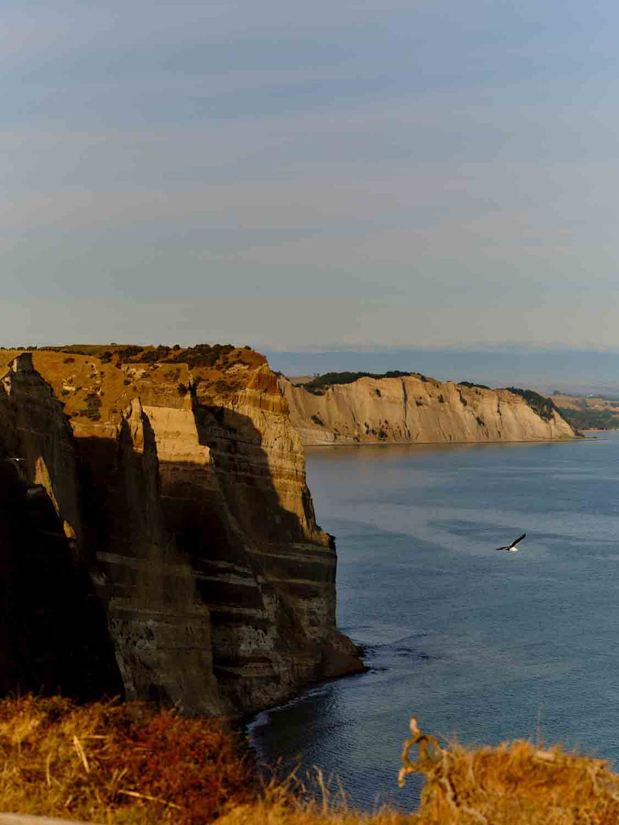 Cape Sanctuary