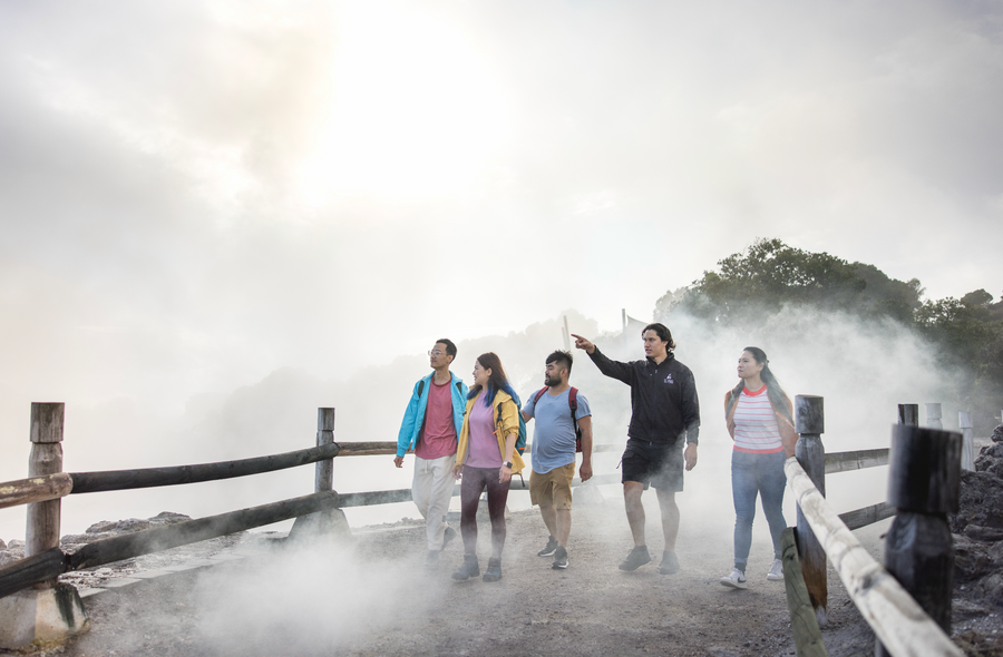 Geysers