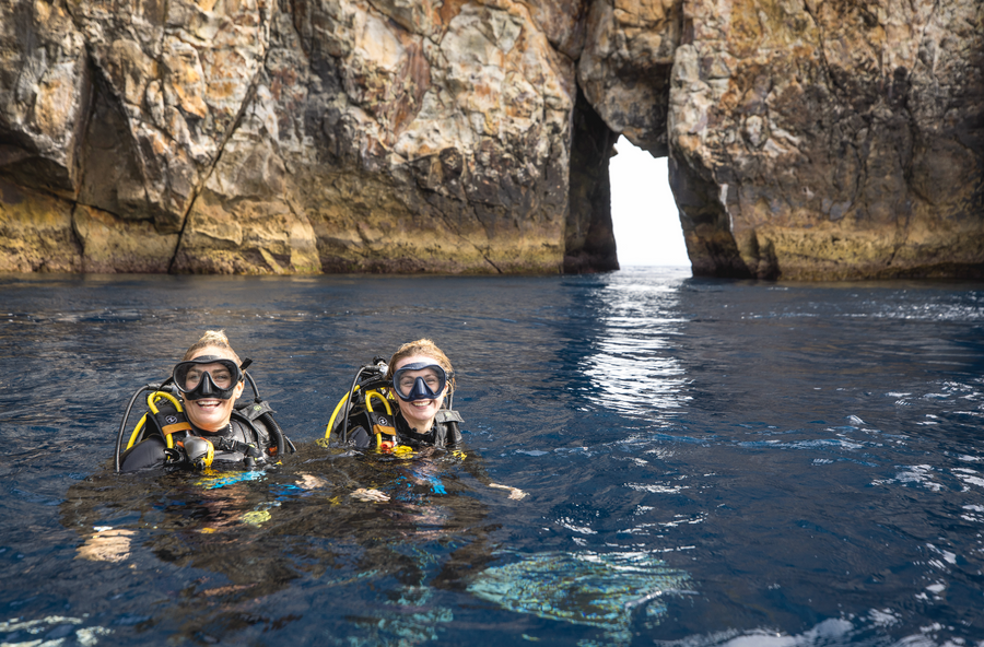 Cavalli Islands diving.