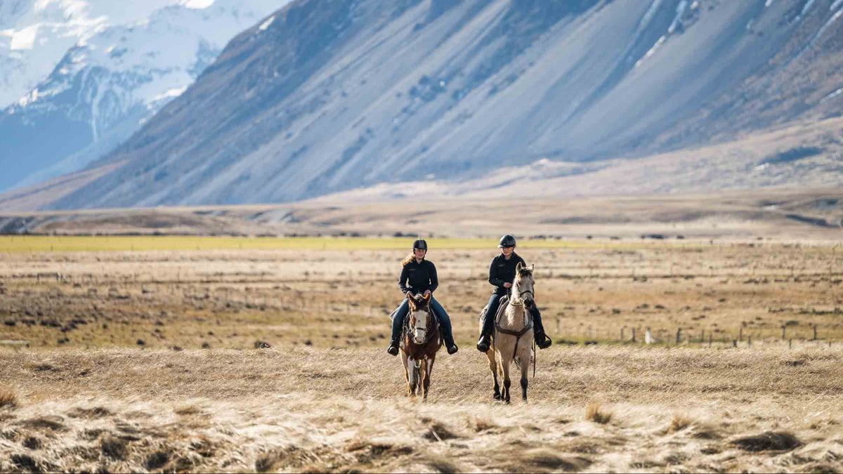 Experience New Zealand