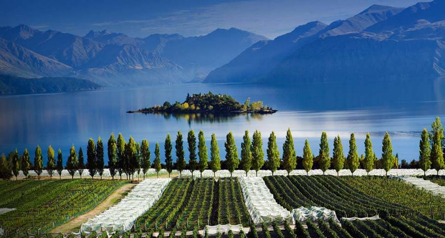 Central Otago wine
