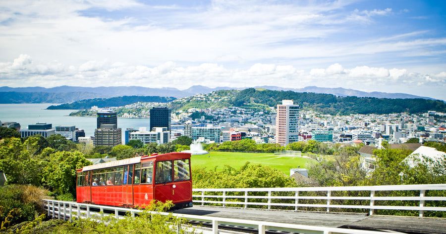 Wellington city