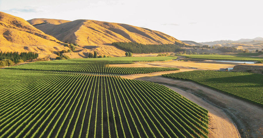 Martinborough Wine