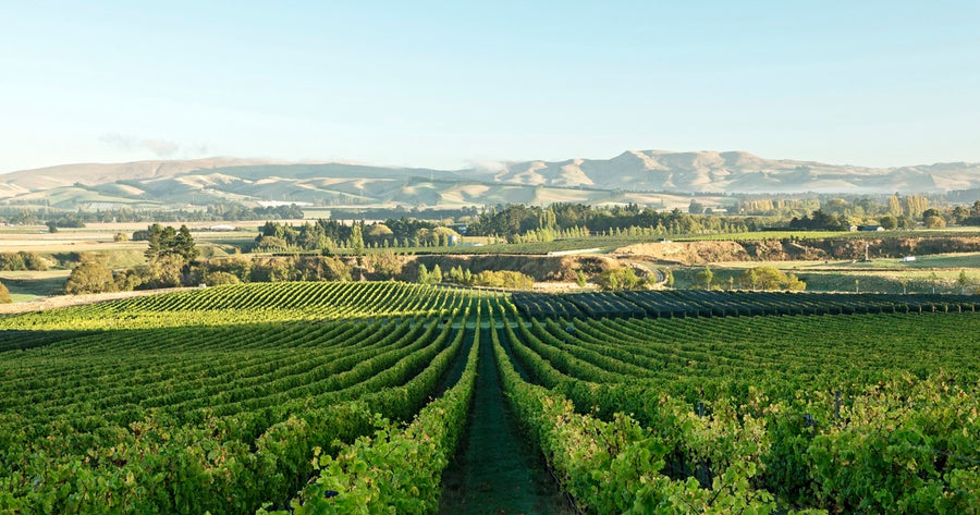 Waipara wine country